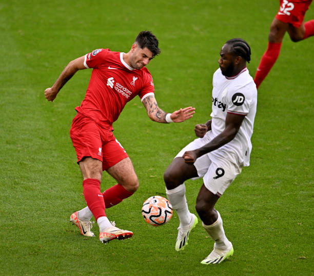 他们在职业 他们在职业