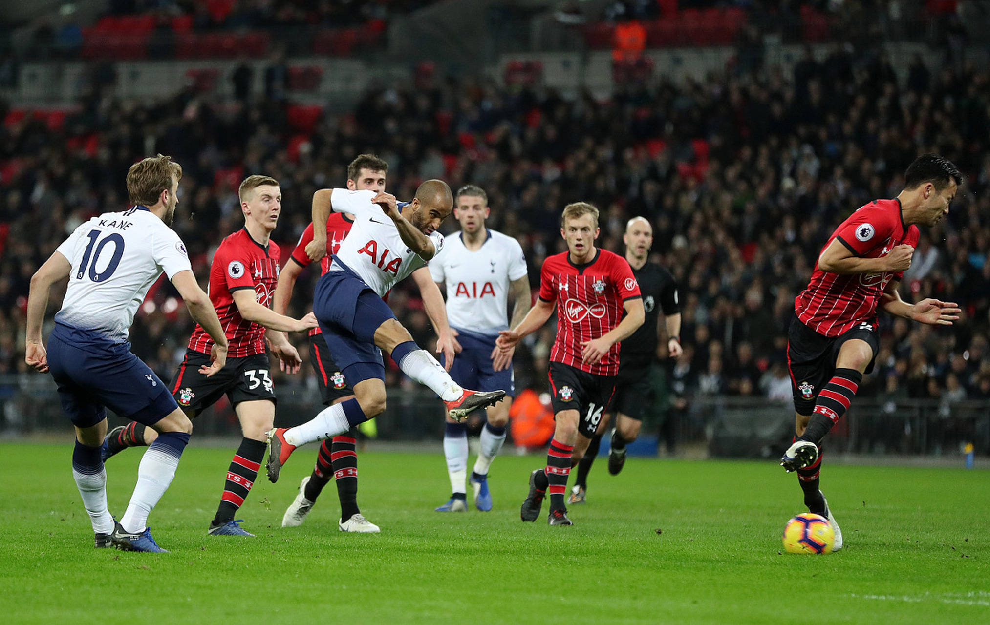 森林狼试图 森林狼试图